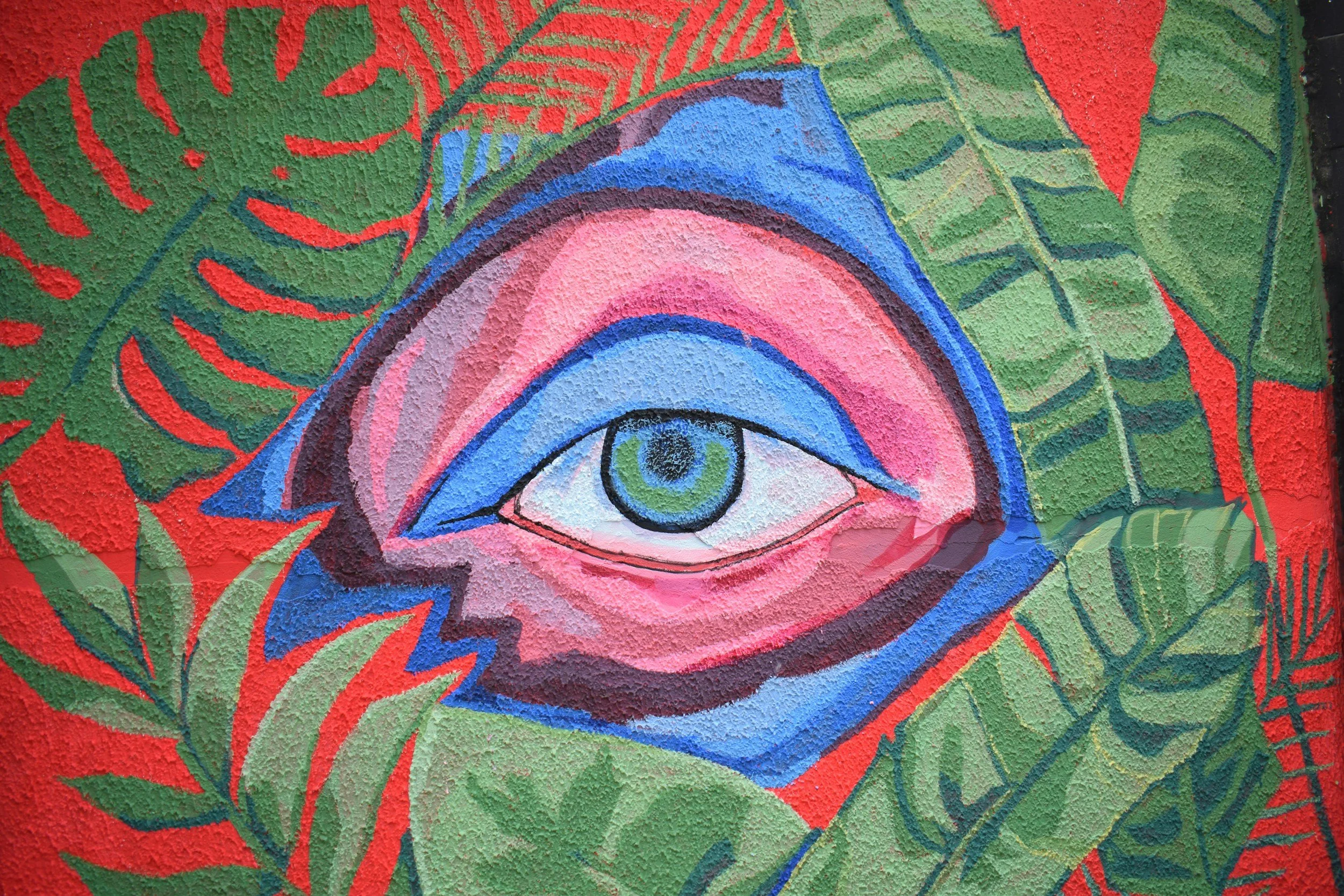 Graffiti Kunst auf einer Wand, das ein Auge zeigt, umgeben von grünen und roten Blättern.
