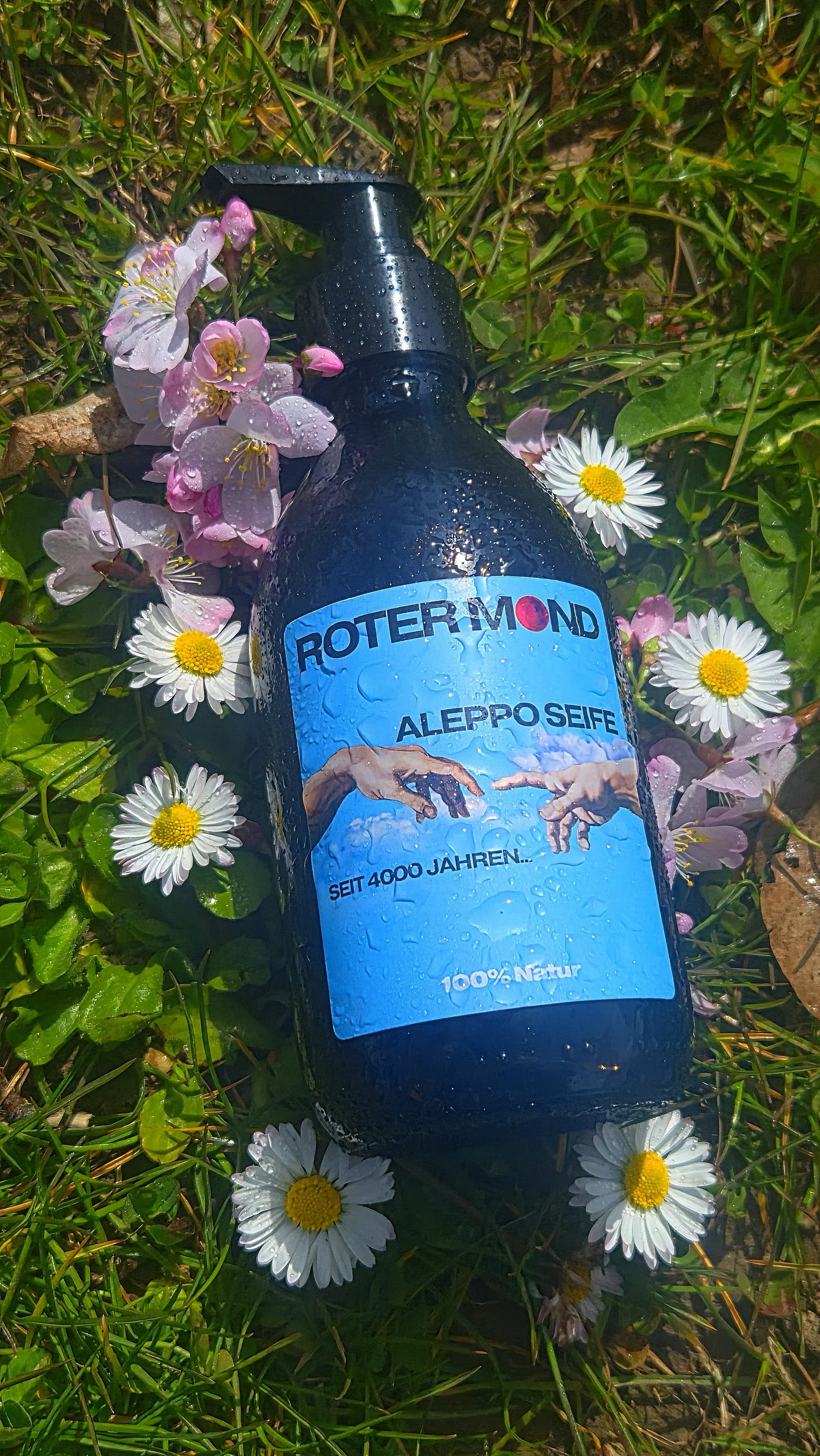 Aleppo Original in Glasspender