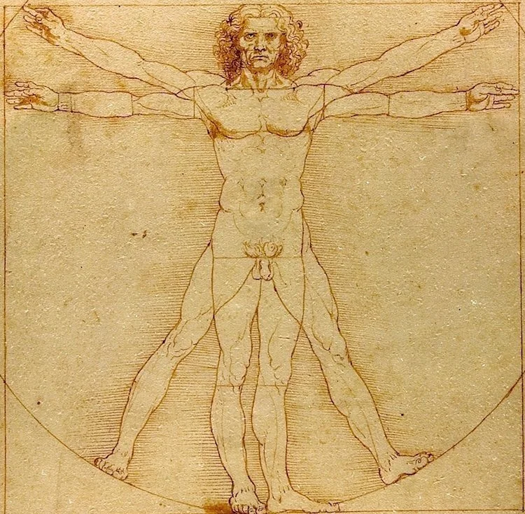 leonardo-da-vinci-vitruvian-man-2.jpg