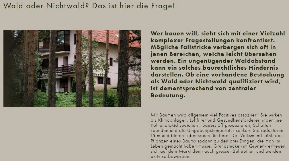 Wald oder Nichtwald? Das ist hier die Frage!, Blogbeitrag Firmenwebsite, 26.03.2026