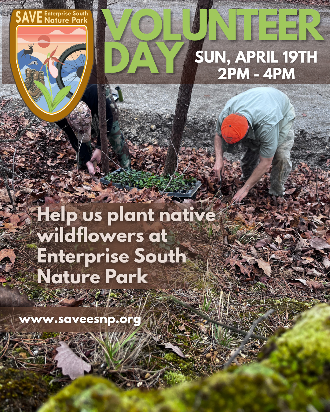 Volunteer to Plant Natives