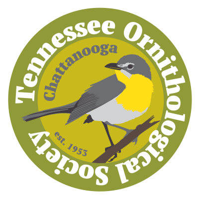 ESNP Spring Bird Migration Morning
