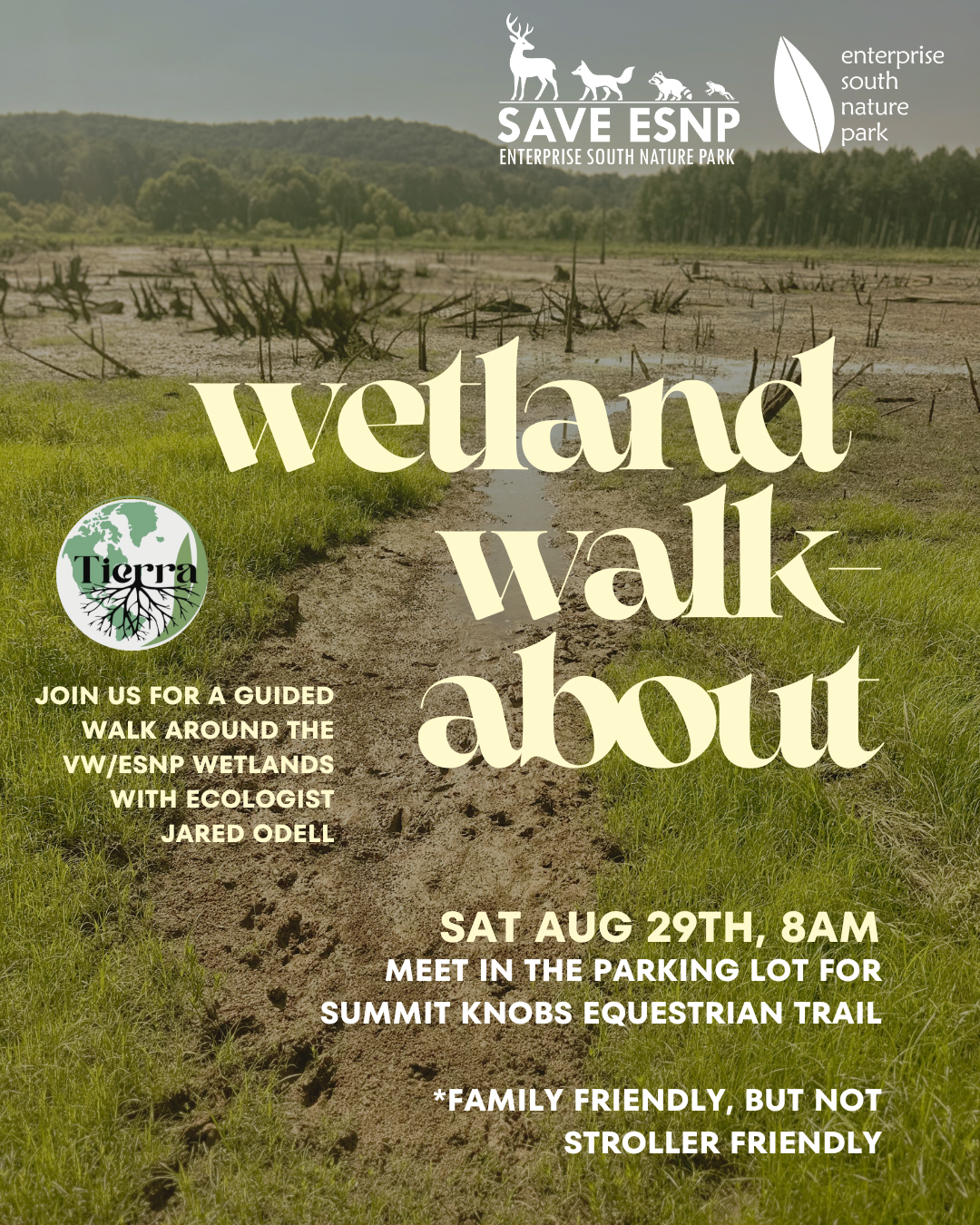 Wetland Walkabout