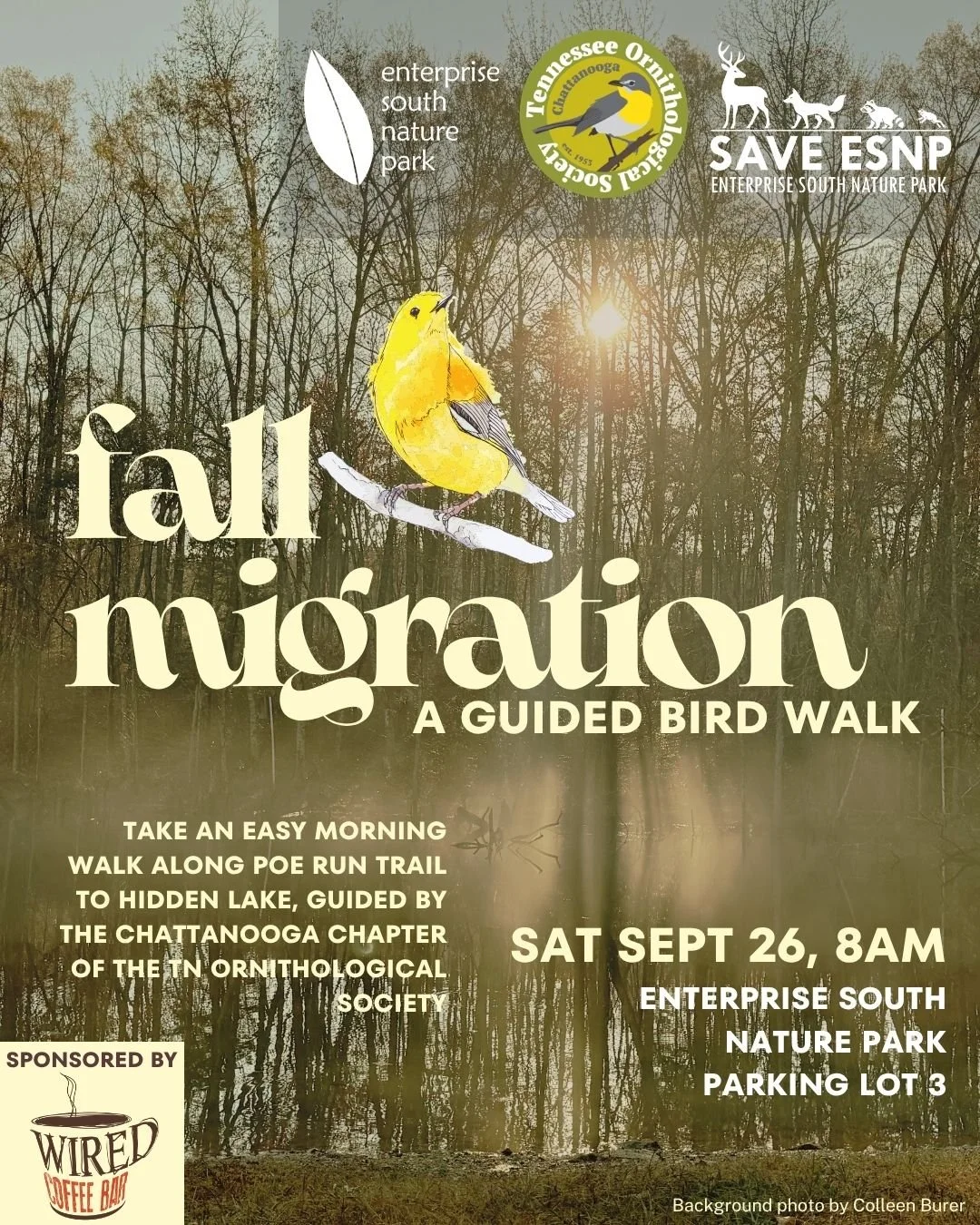 Fall Migration - A Guided Bird Walk