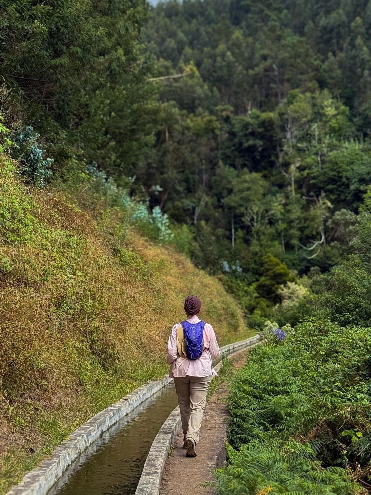 Madeira for Muslim Travellers: What to Know Before You Visit