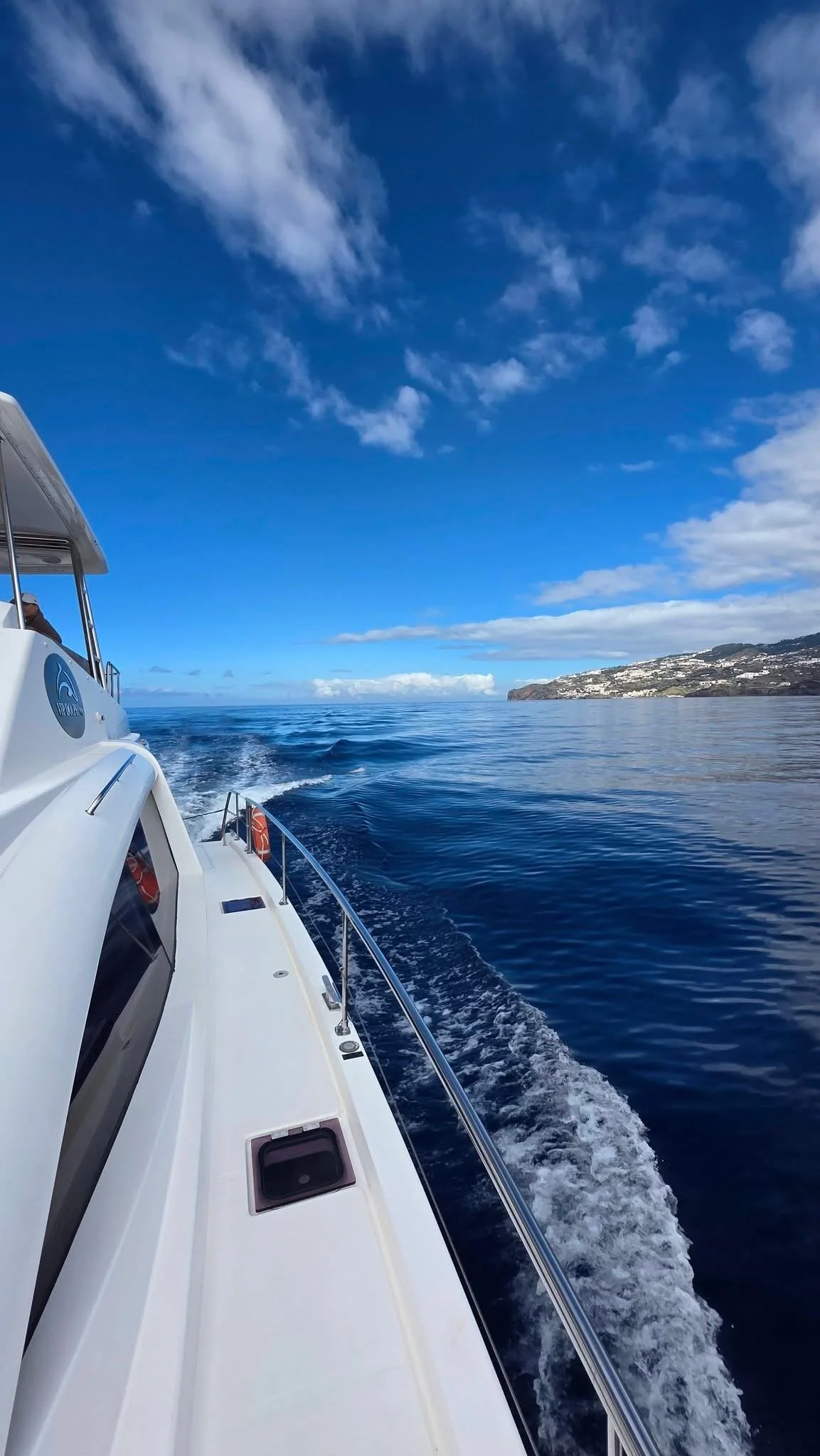 Madeira in Style experiences