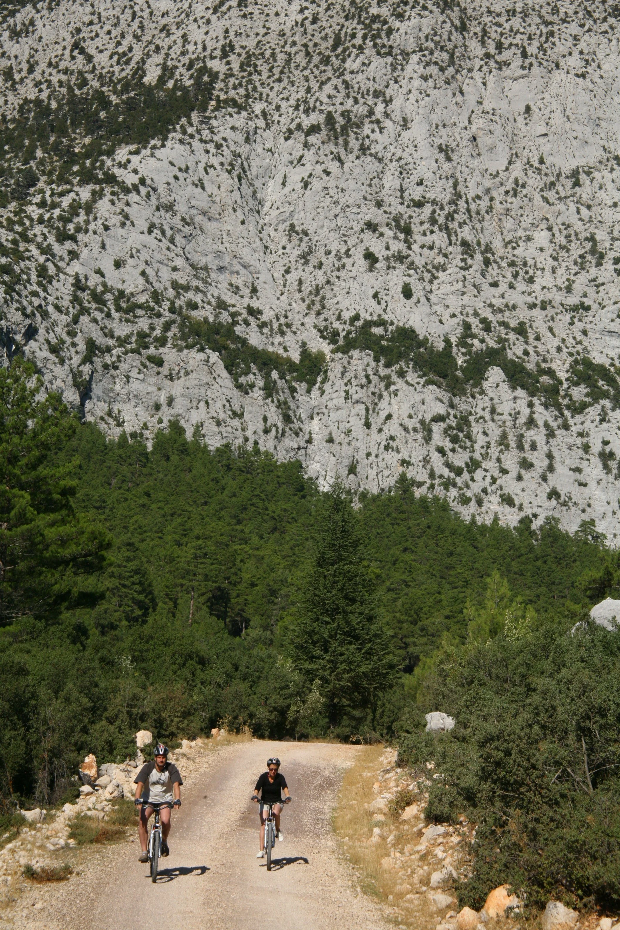 IMG_2465.JPG