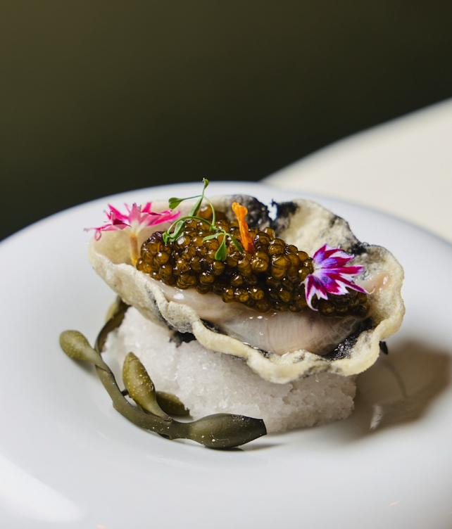 Oyster.png