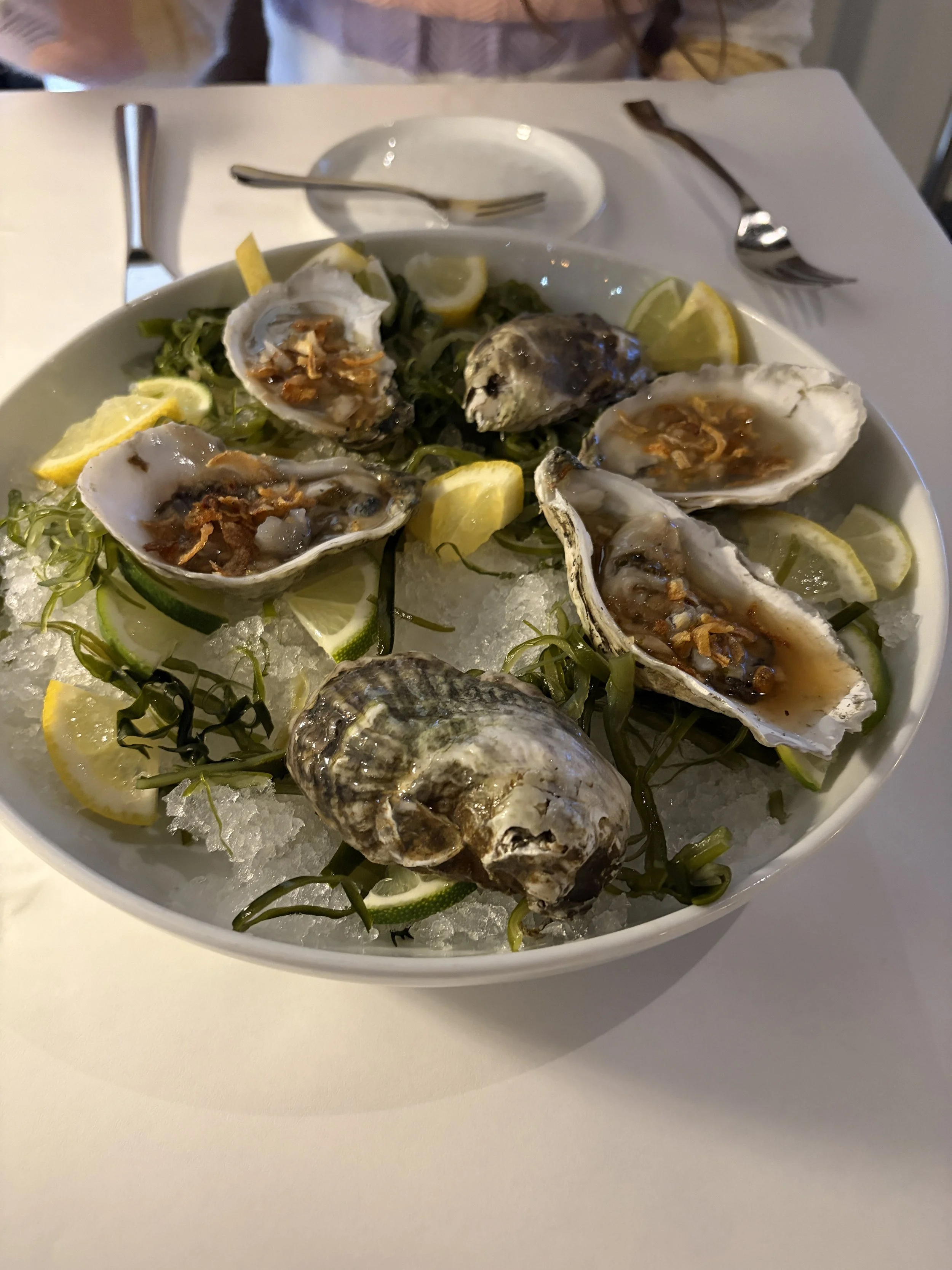 Oysters.jpeg