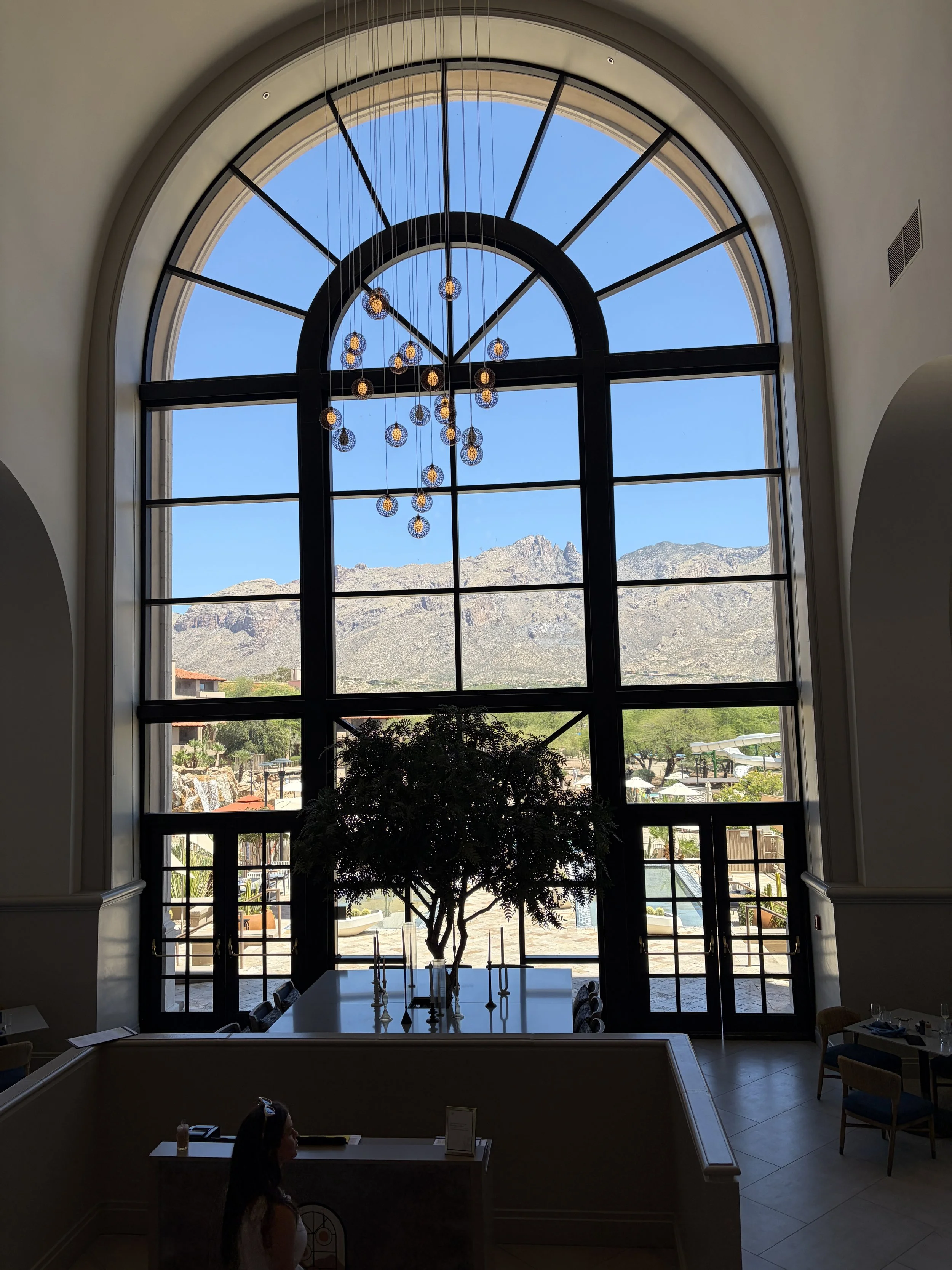 Lobby View of Mountain.JPG