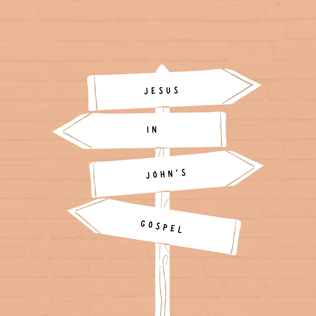 His Own Country | John 4:43-54 | Jesus in John's Gospel