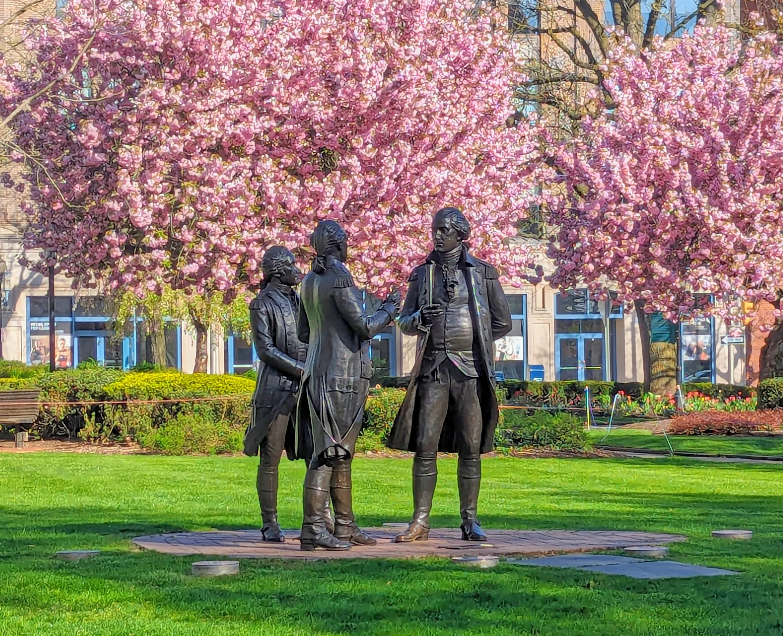 Appleblossom Alliance 1.jpg.png