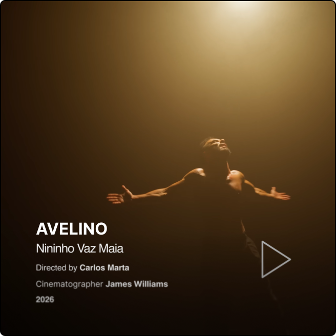 NVM- Avelino.png