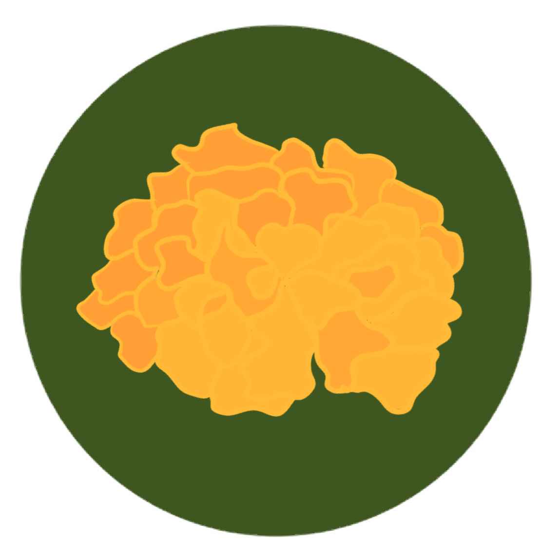 Colors of Marigold