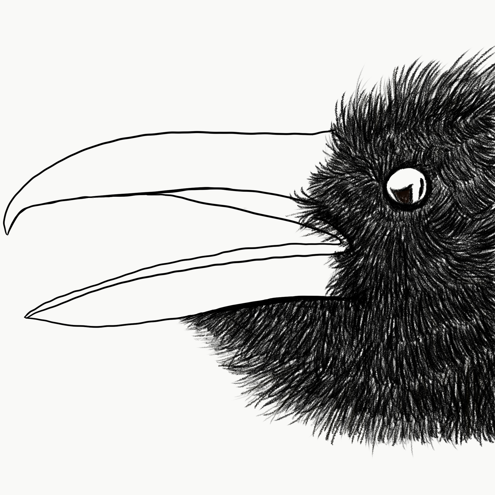 Raven.png