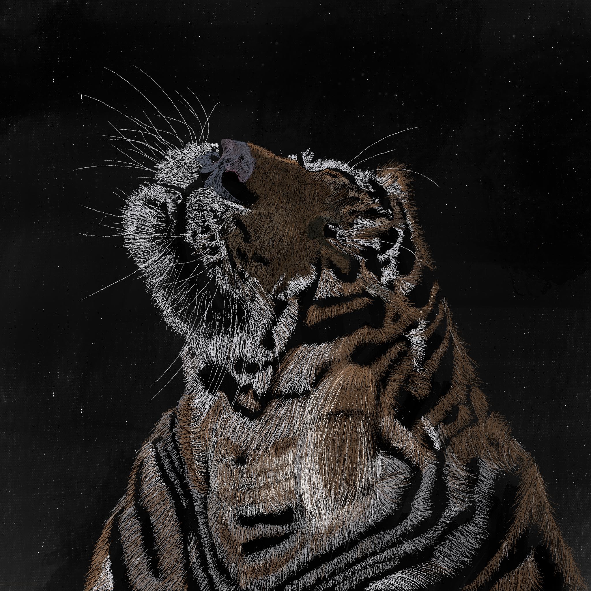 Untitled_Artwork (1).png