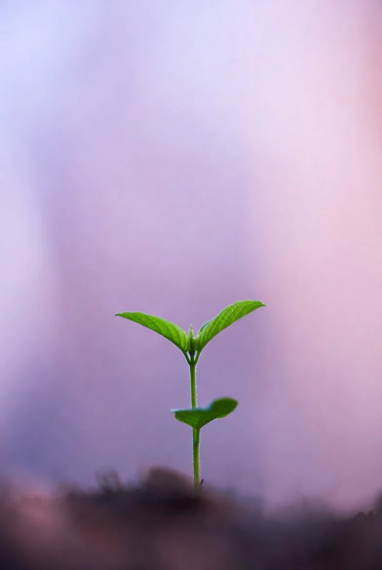 Are Introverts Always Quiet? (Copy)