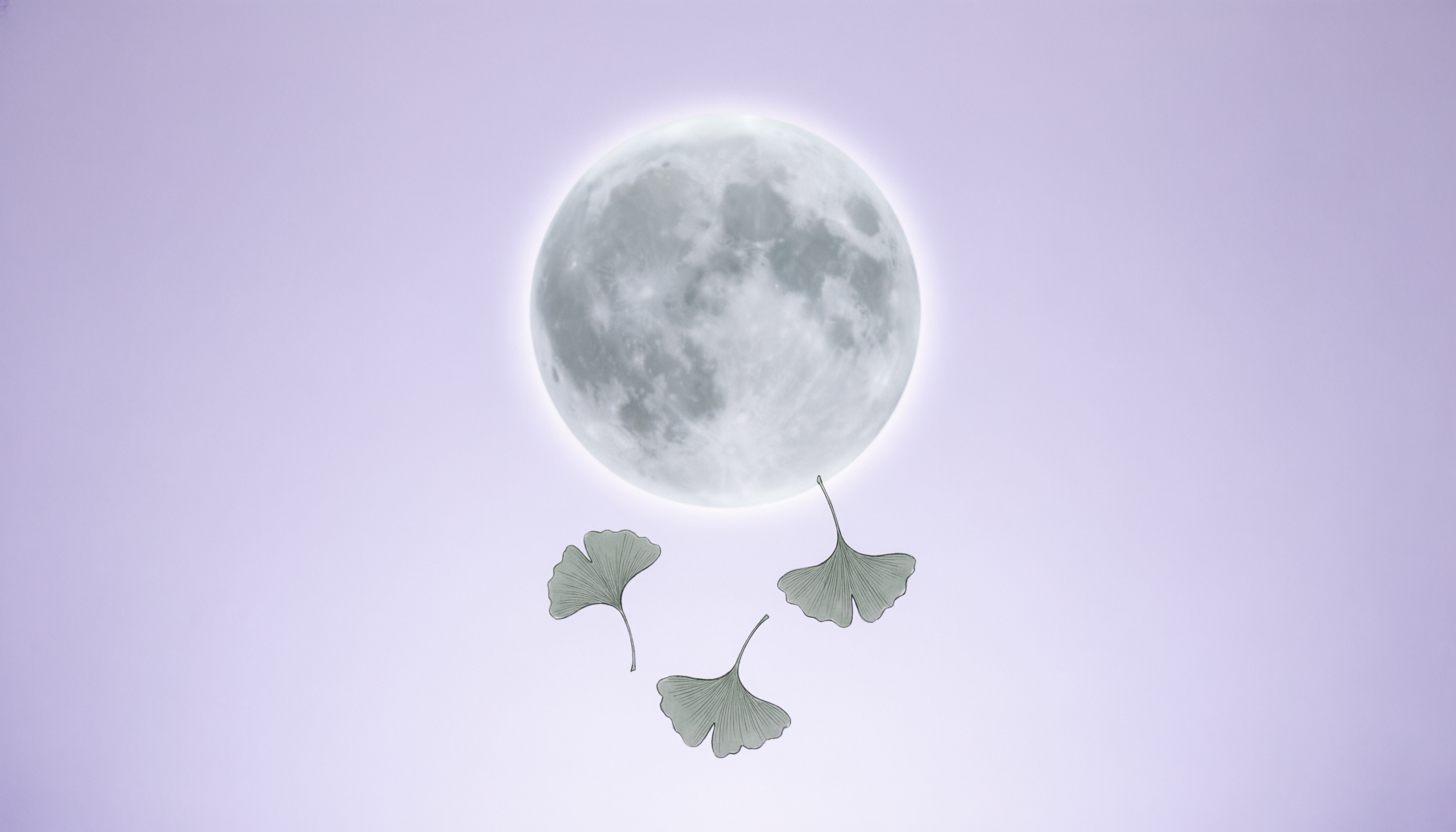 5 Quiet Moments That Mean Everything to an Introvert