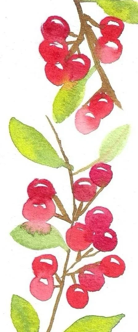 Watercolor painting of a branch with red berries and green leaves.