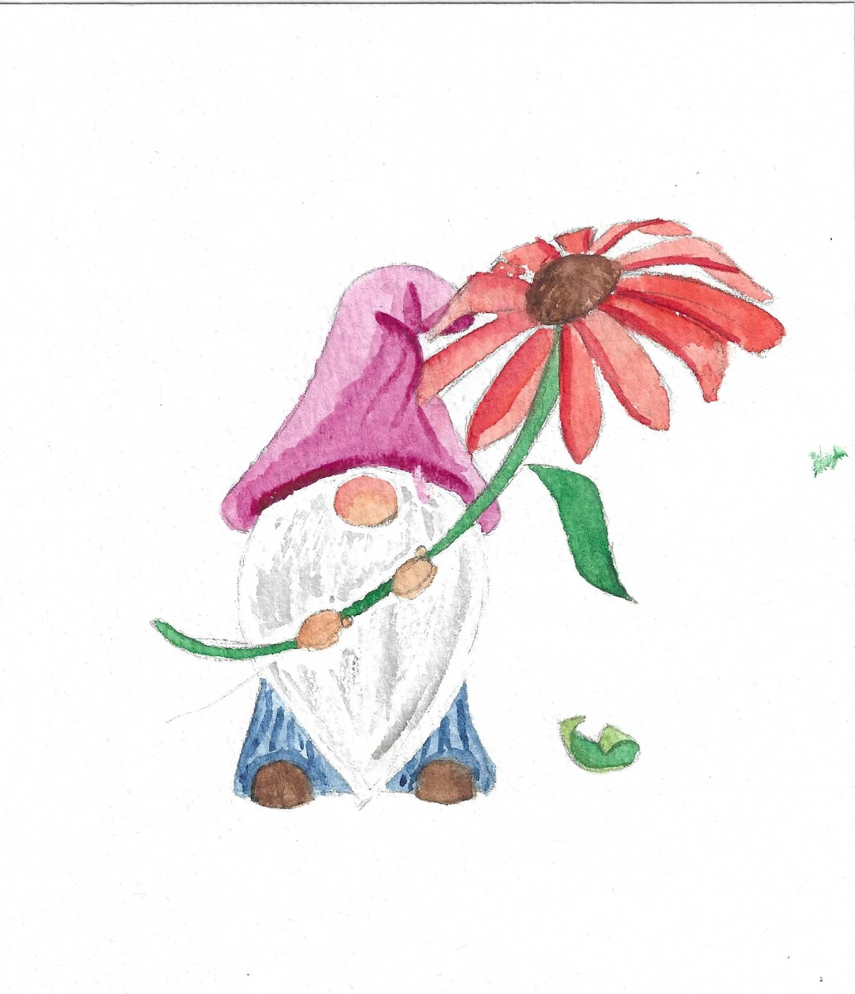 Watercolor drawing of a garden gnome with a white beard, wearing a purple hat and blue pants, holding a pink flower with green leaves.