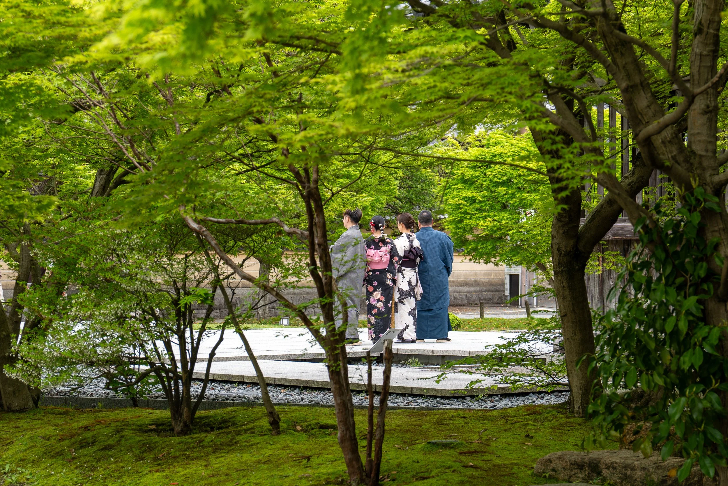 DSC01922.jpg