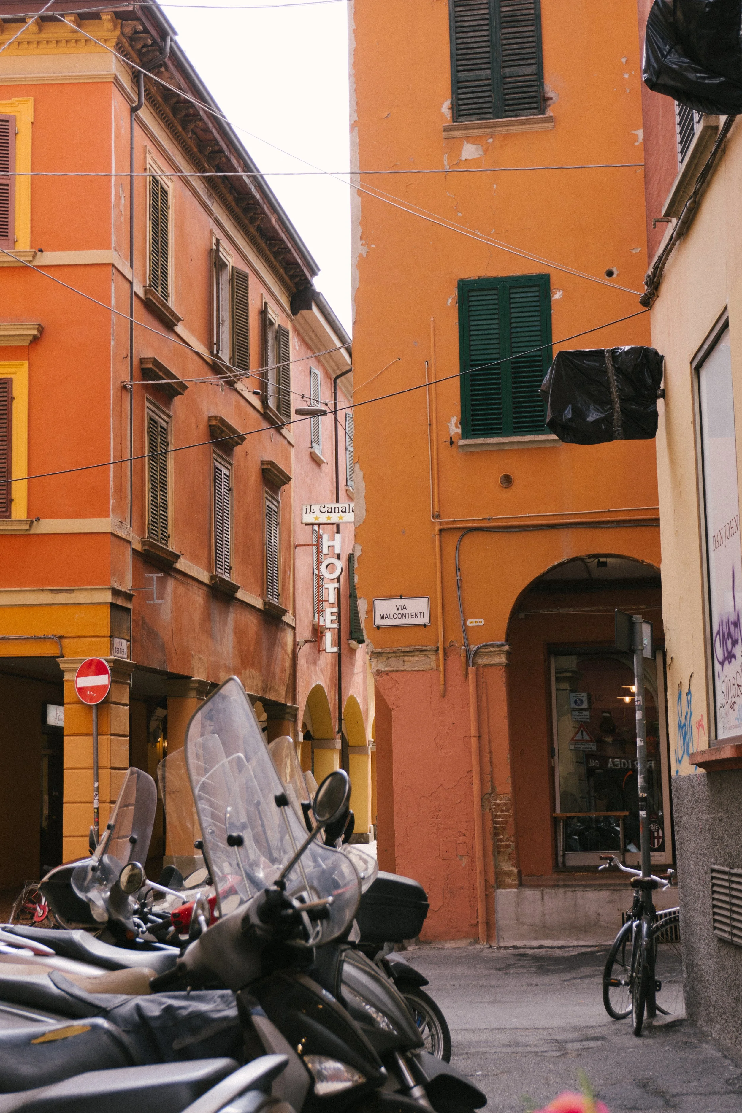 DSC02558.jpg