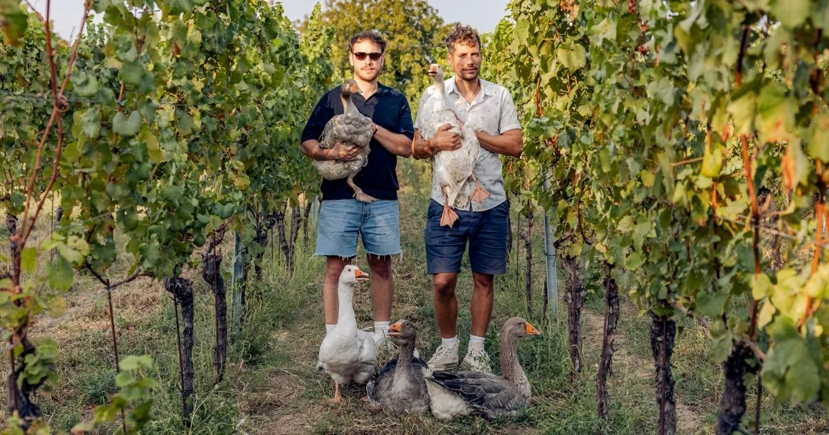 Two glasses of red wine on a table with city lights blurred in the background.
