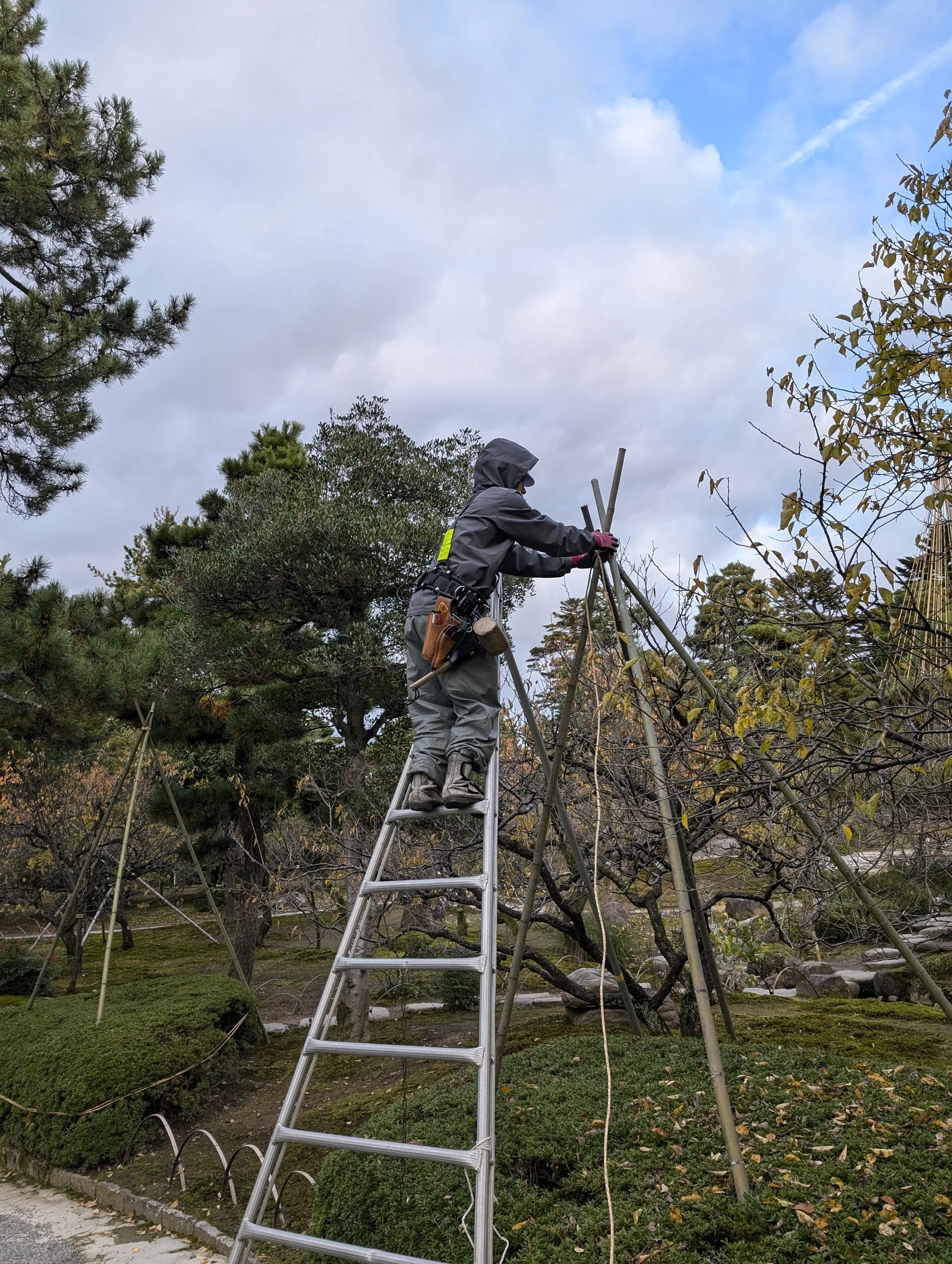 Gardeners preparing supports