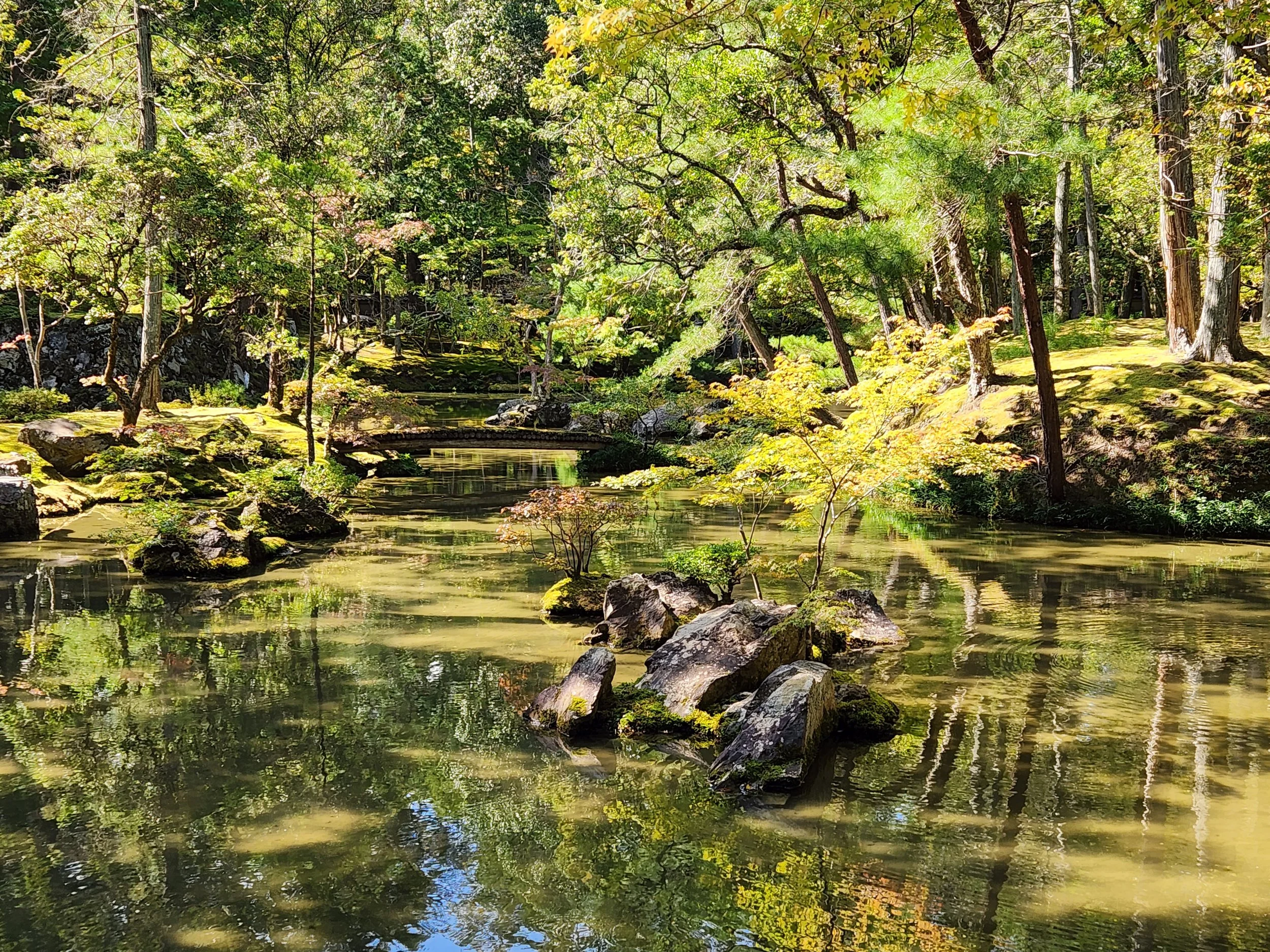 A peaceful Japanese garden with a reflective pond, rocks, lush green trees, and small plants.