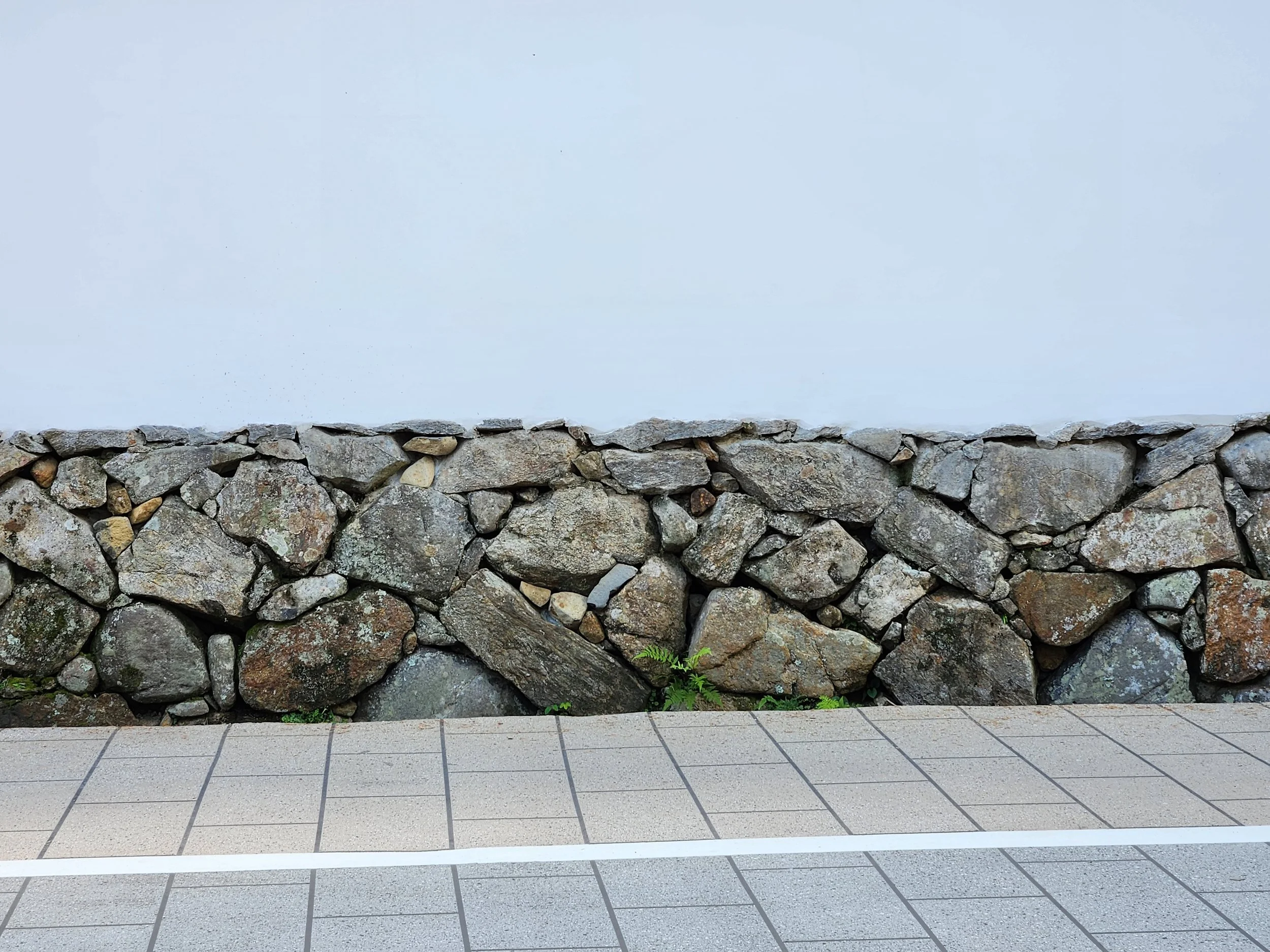 Ishigaki (Dry stone wall) in tanizumi style