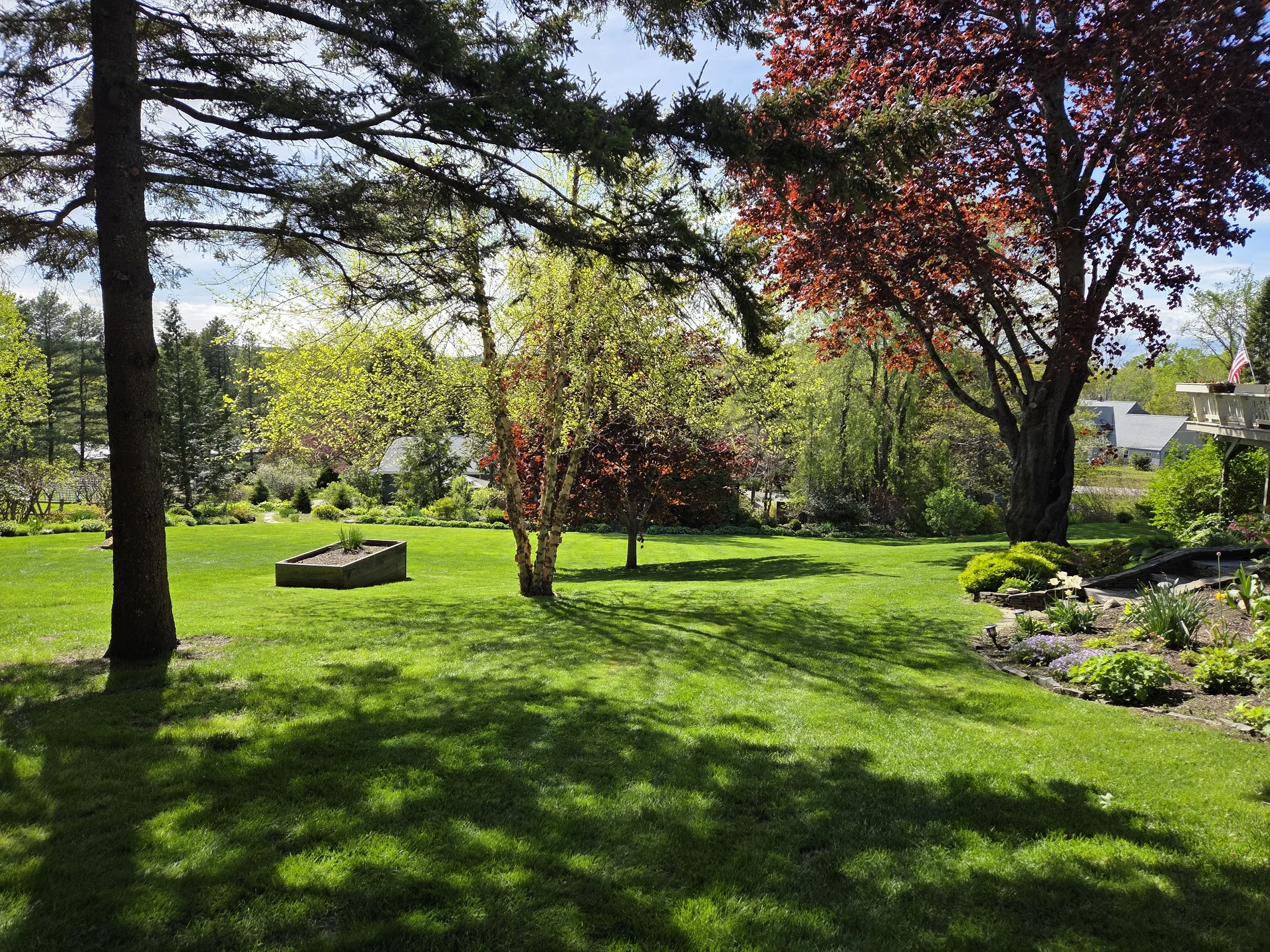 A lush green backyard with well-maintained grass, trees, and shrubs, including a tree with red leaves, under a sunny sky with some clouds. There is a raised garden bed, a house with a balcony, and other houses visible in the background.