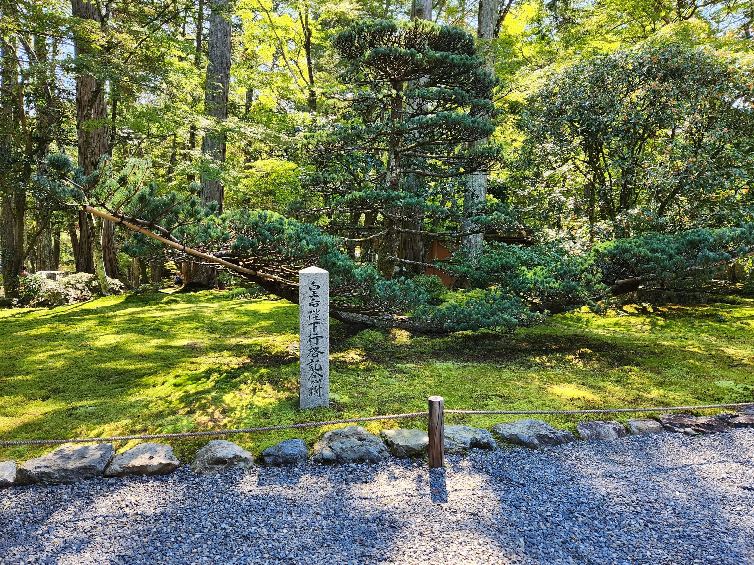 A manicured Japanese garden with statues, moss, rocks, and prune trees, surrounded by a ropes barrier.