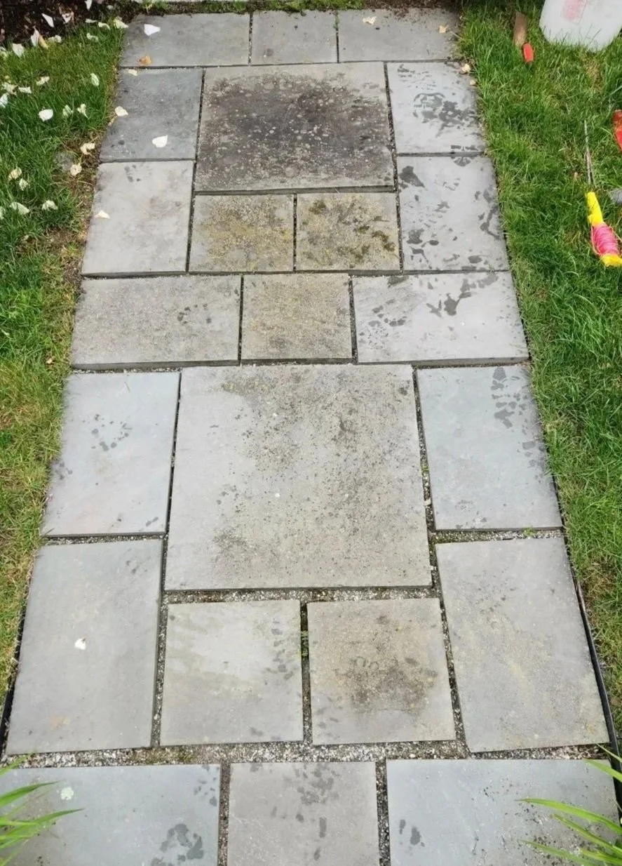 Dirty and wet stone pathway surrounded by green grass and plants.