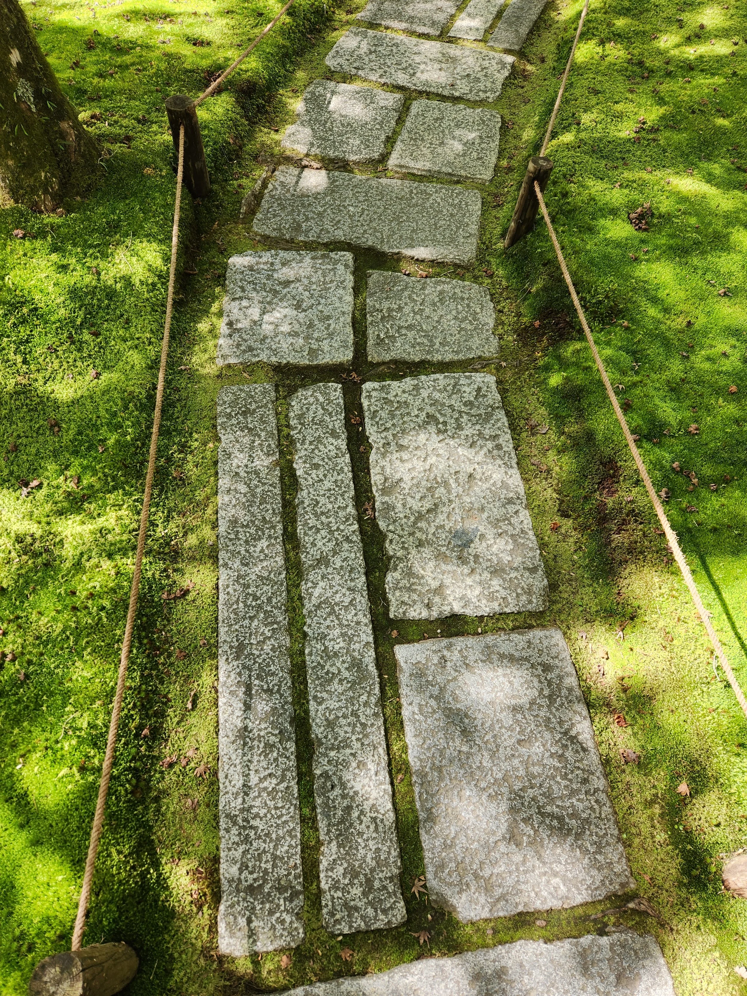 Stone pathway with green moss and grass on sides, bordered by wooden posts and rope.