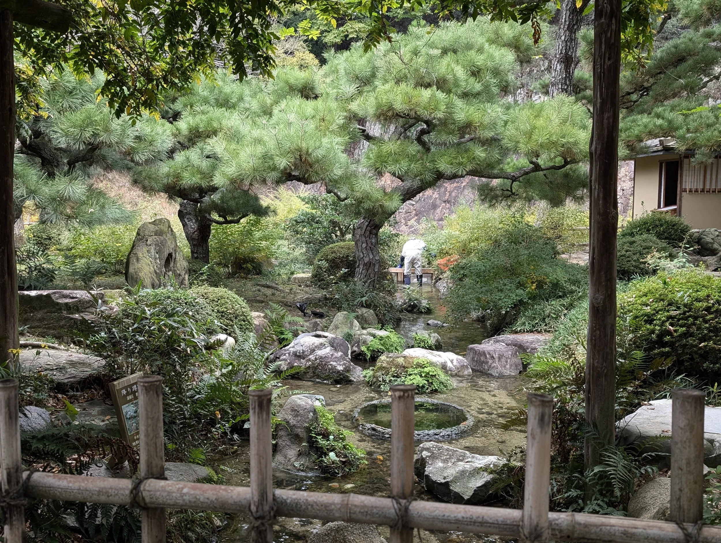A traditional Japanese garden with lush green trees, rocks, and a small pond. A person in white is standing near a bench in the background, and a bamboo fence is in the foreground.