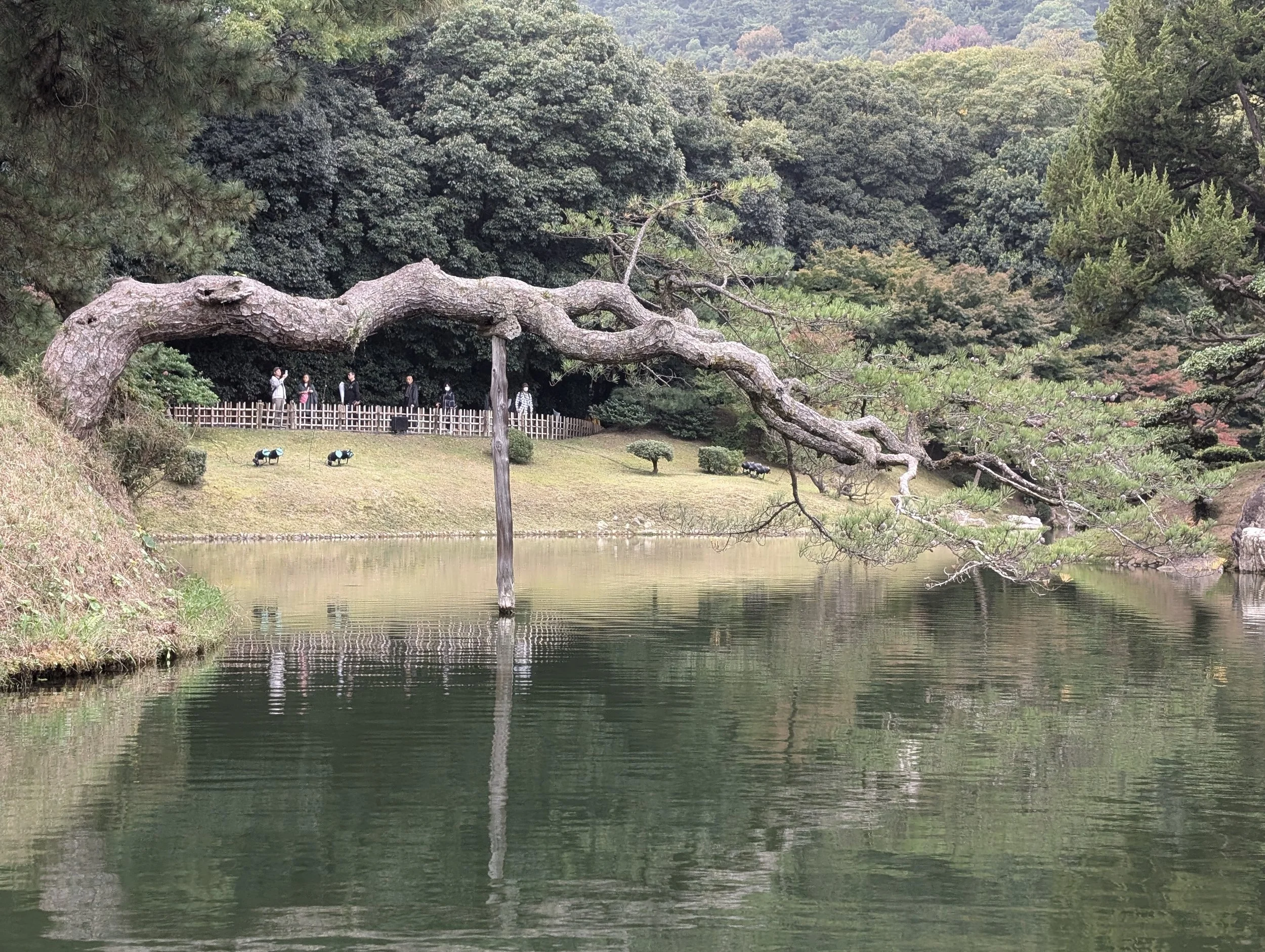 A peaceful scene of a lake with reflecting water, surrounded by lush green trees. A large, twisted tree with sprawling branches extends over the lake, and there are small sculptures of animals on the grassy bank alongside a group of people walking be