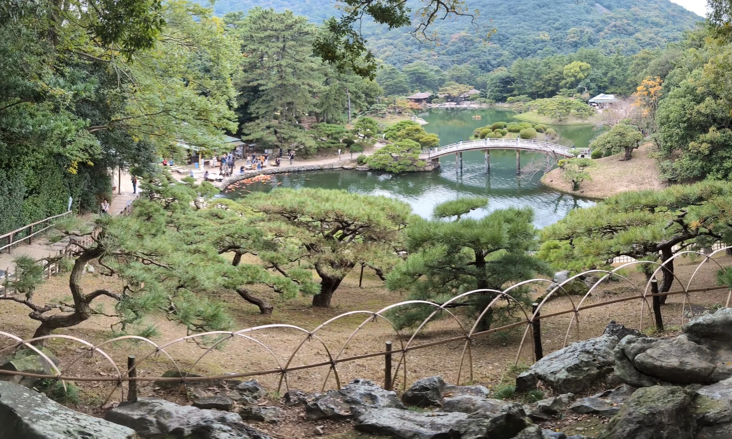 A scenic view of a traditional Japanese garden with a pond, a white arched bridge, manicured trees, and visitors walking along paths surrounded by lush greenery.