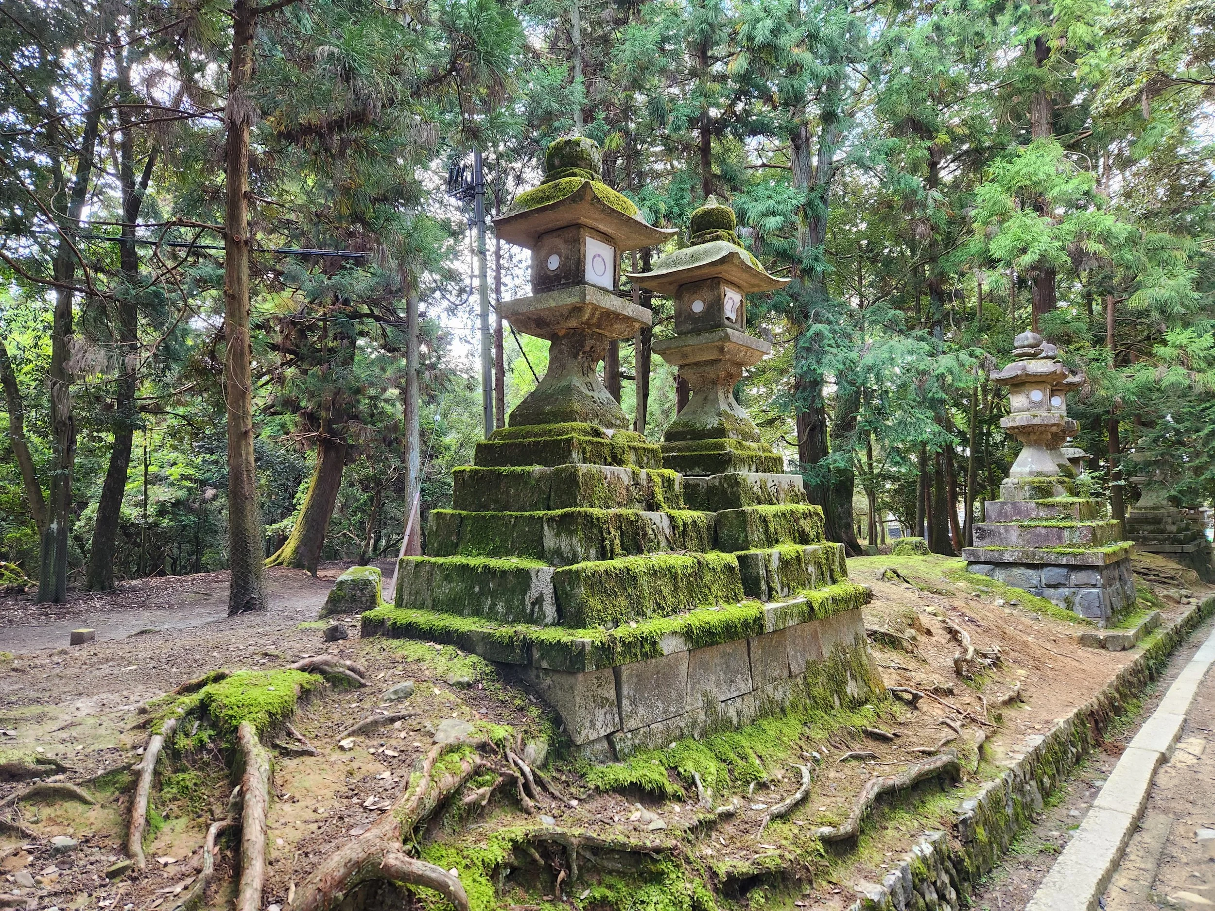stone lanterns near Kasuga Taishi, Nara