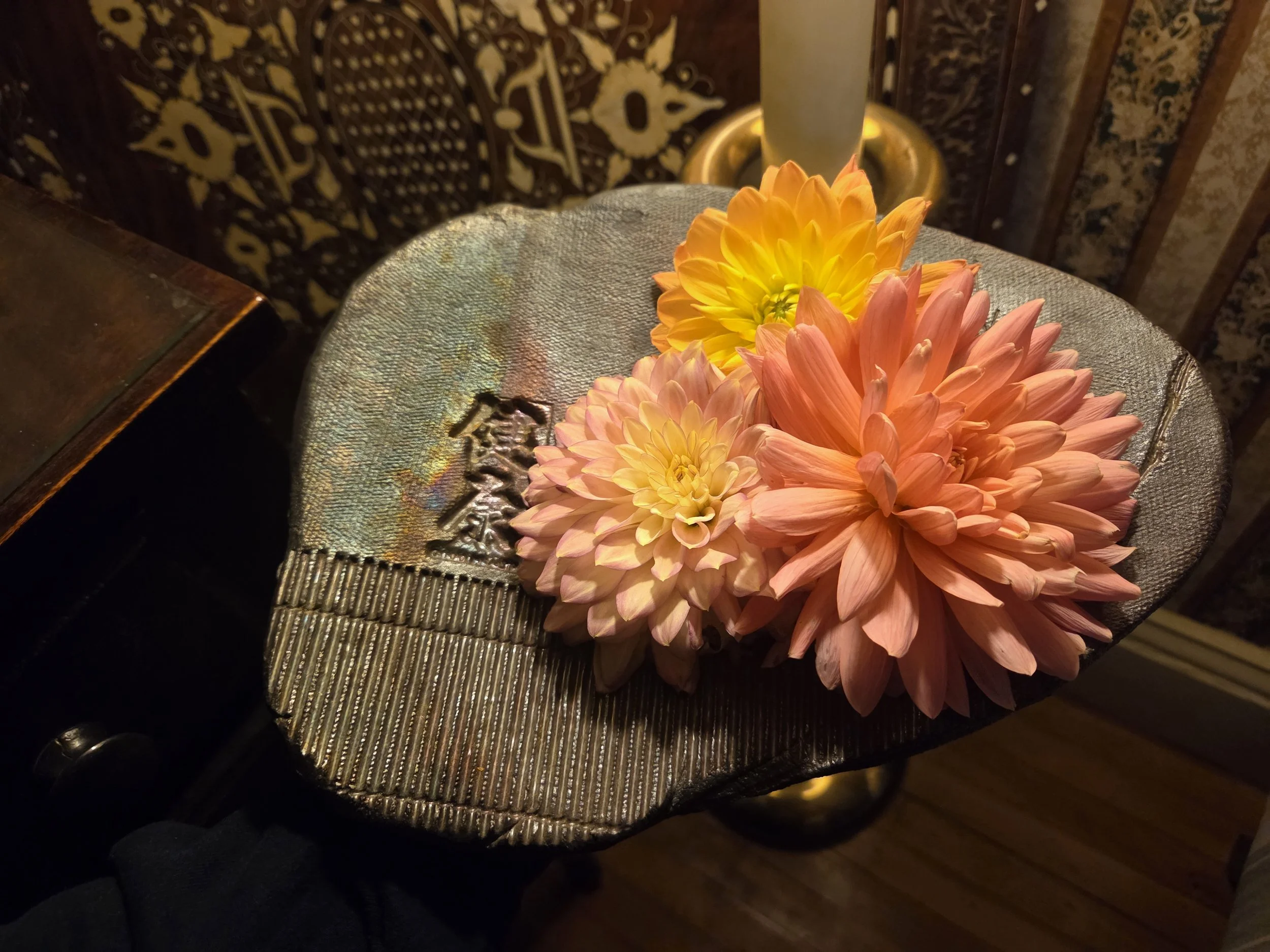 Dahlia cuttings from private tuber collection