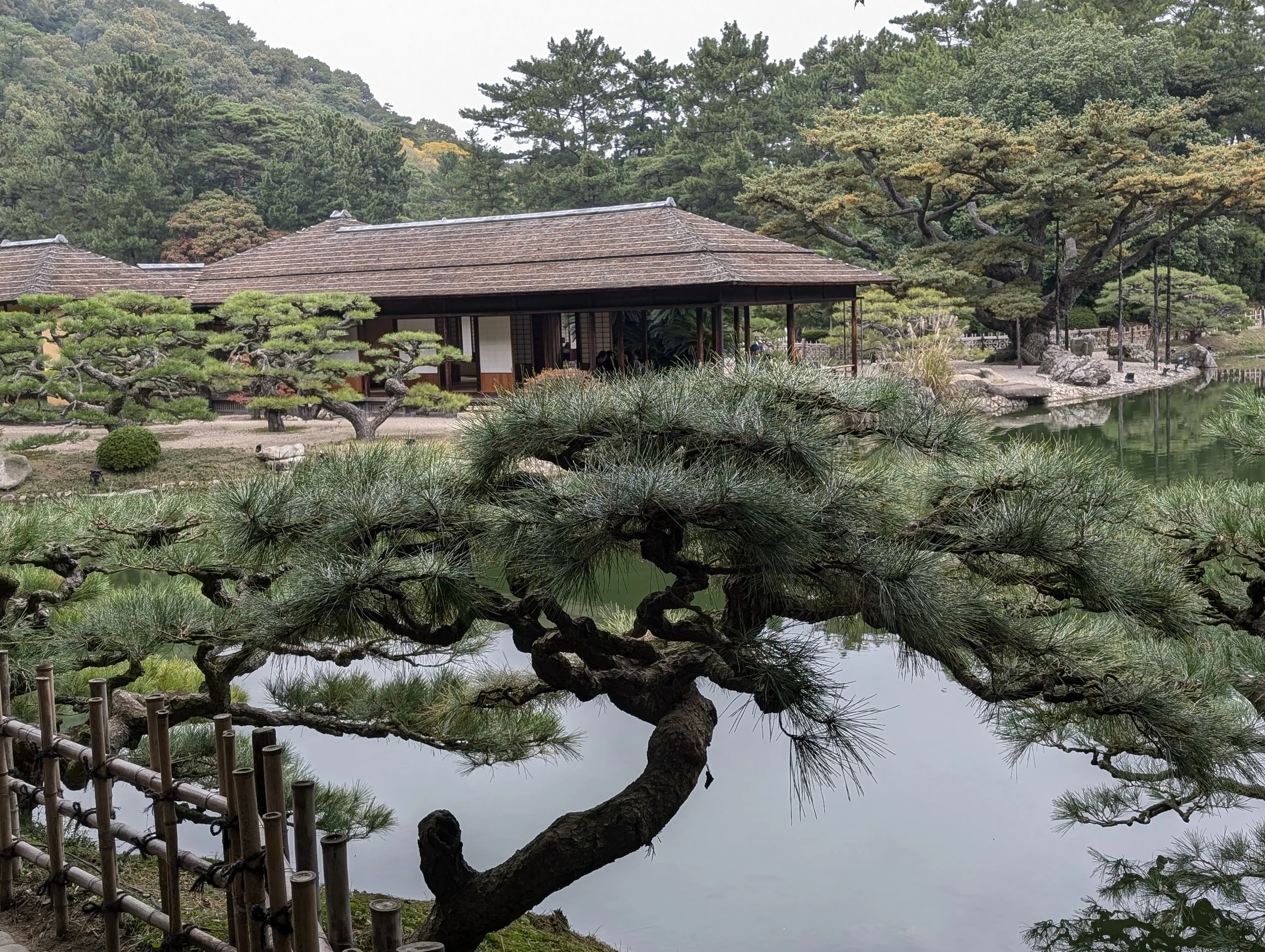Traditional Japanese garden with a pond, bonsai trees, and a wooden building in the background, surrounded by lush greenery and mountains.