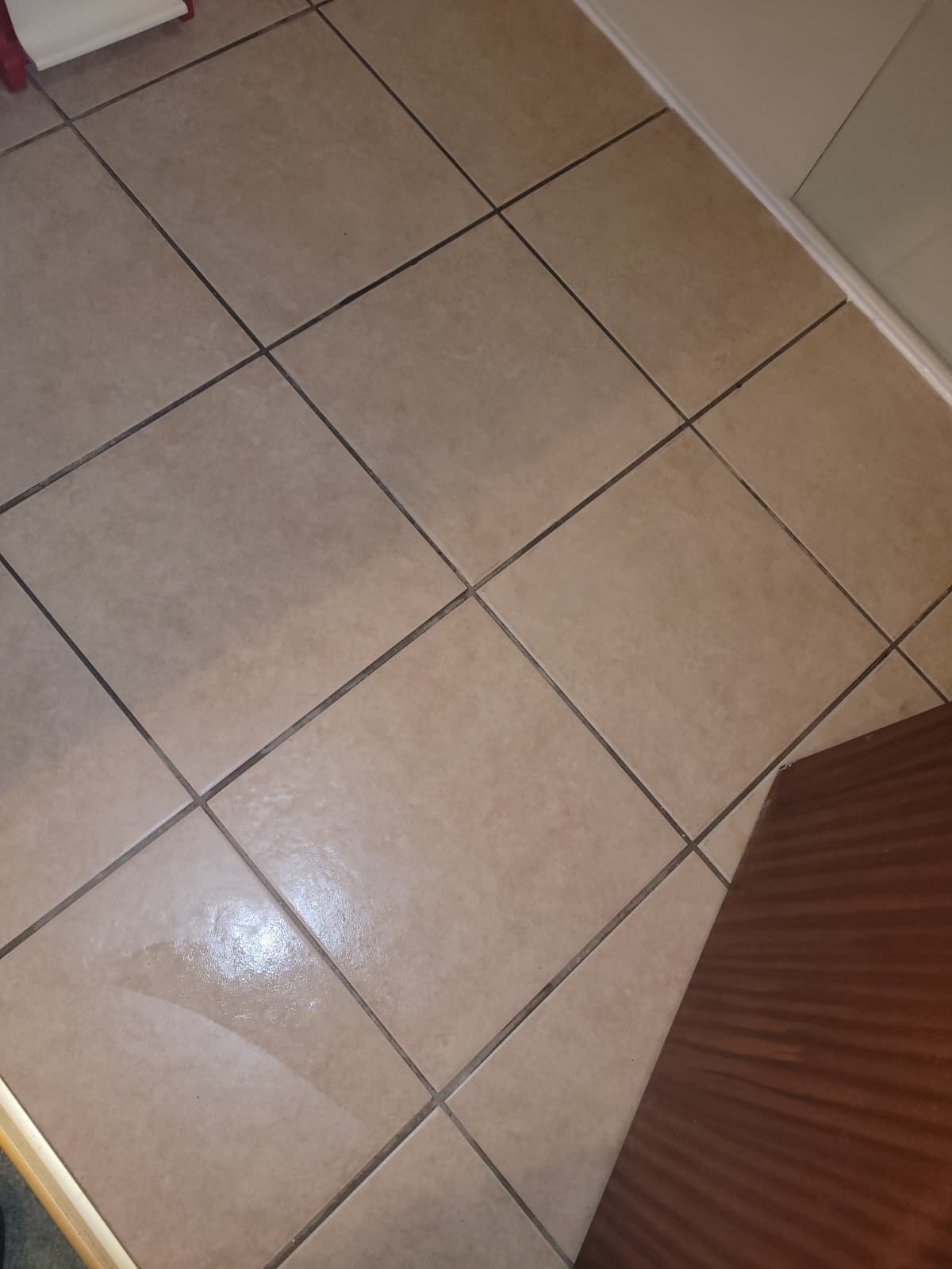 Close-up view of beige ceramic floor tiles with dark grout lines in a room corner.