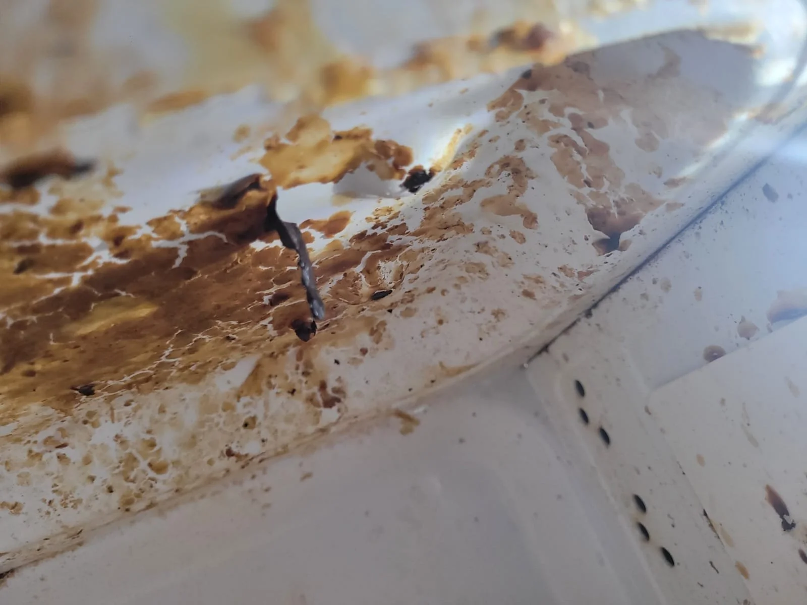 Close-up of mold and dirt on a white painted surface, with visible black mold spots and stains.