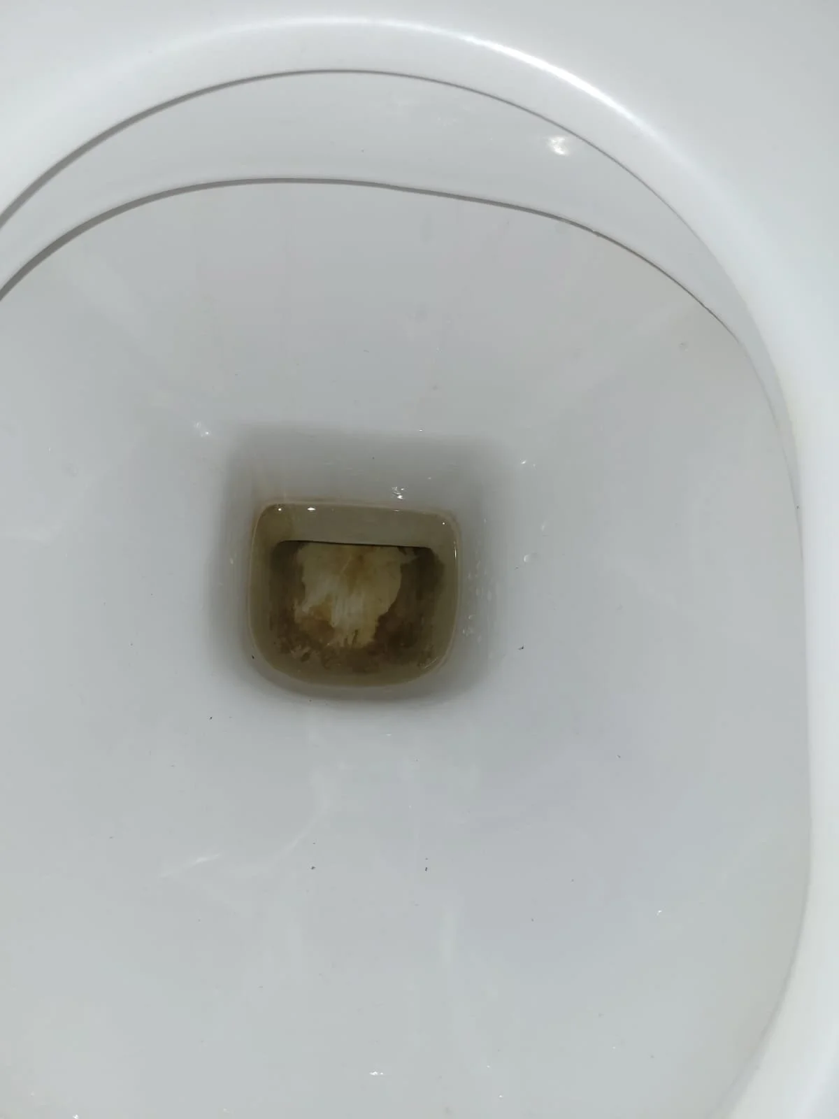 Close-up of a toilet bowl with dirty water and debris at the bottom.