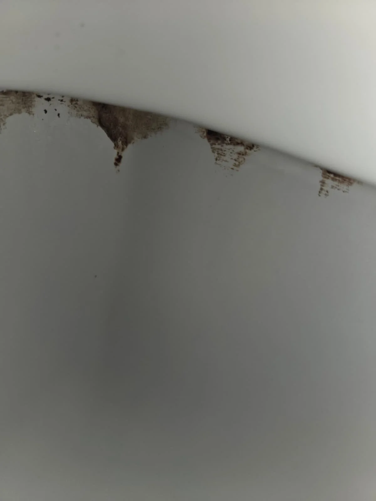 WhatsApp Image 2026-01-17 at 12.30.53 (1).jpeg