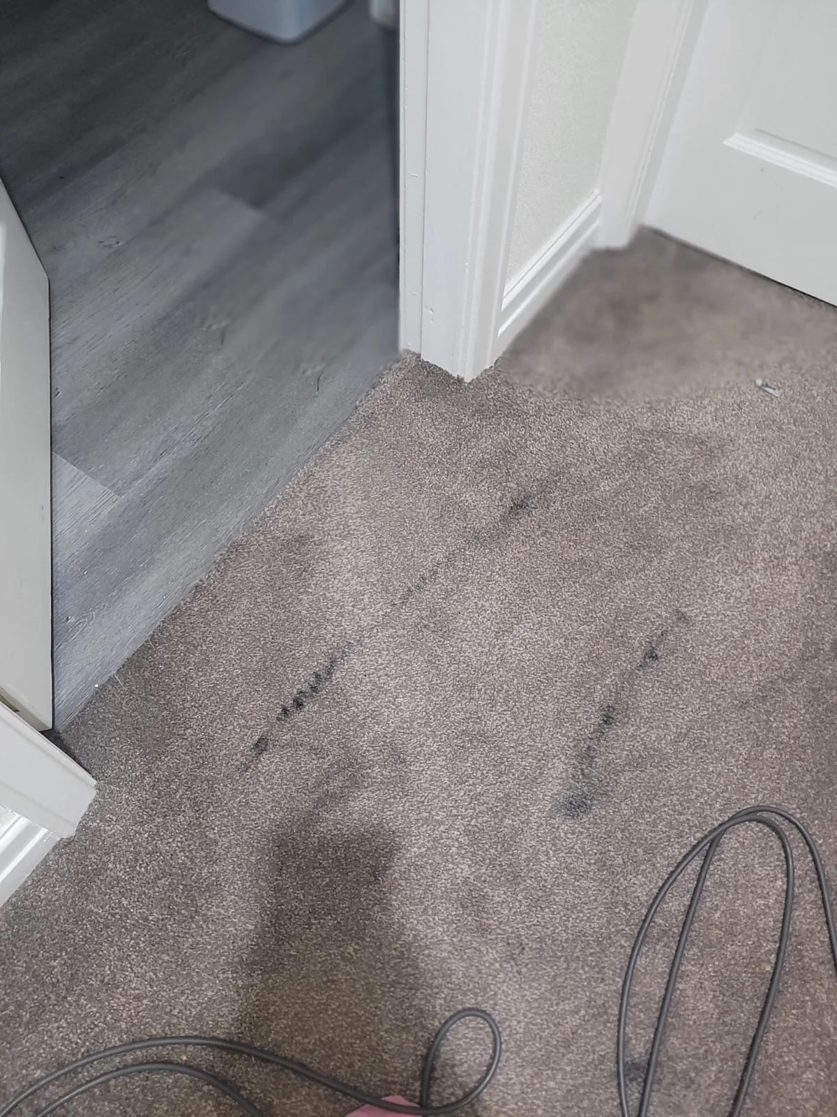 Brown carpeted floor near a doorway with black marks and a black cord lying on it, adjacent to a room with gray wood flooring.