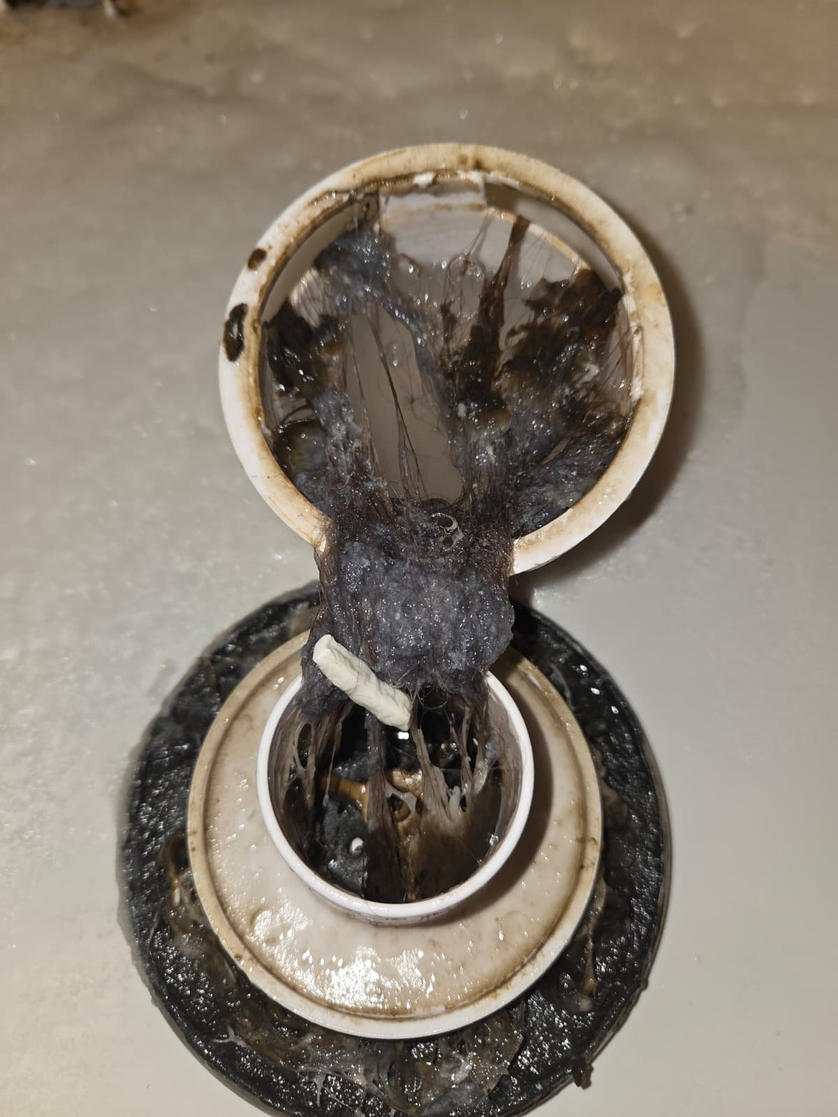 Clogged sink drain with dark, greasy, and slimy hair and debris