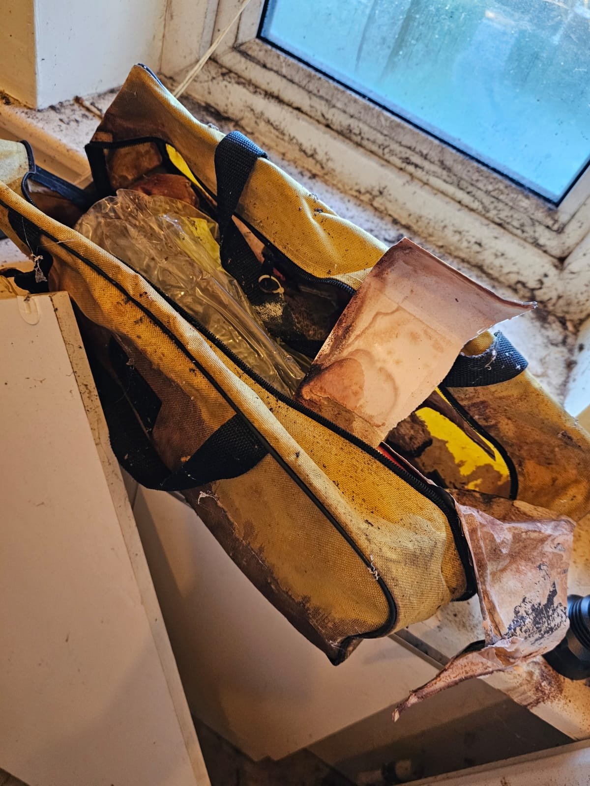 WhatsApp Image 2026-02-14 at 20.33.51 (2).jpeg