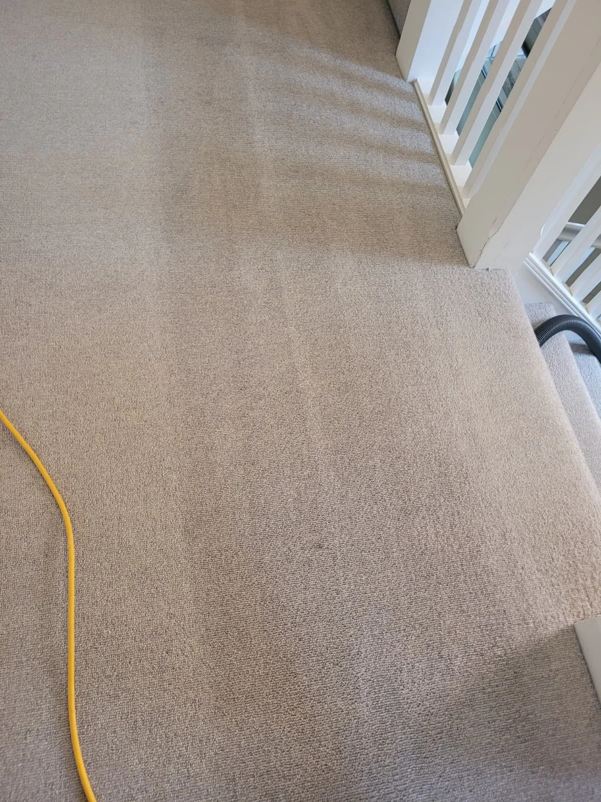 A beige carpeted floor with a vacuum cleaner's black hose and a yellow power cord visible.