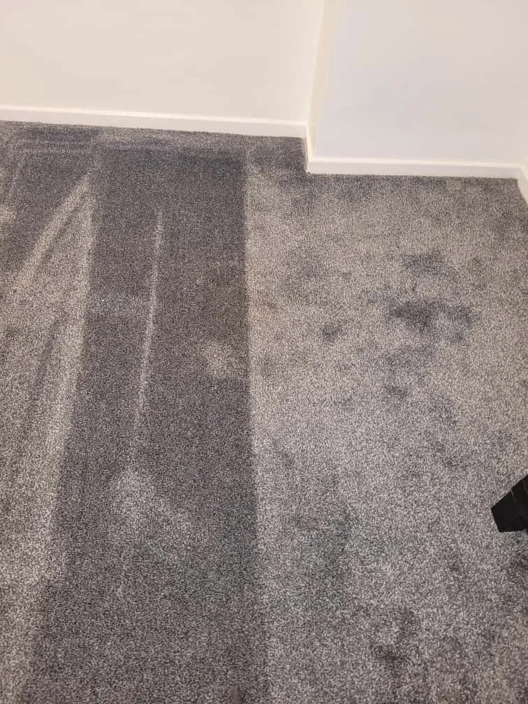 Carpet with vacuum cleaner marks and dirt stains near the wall.