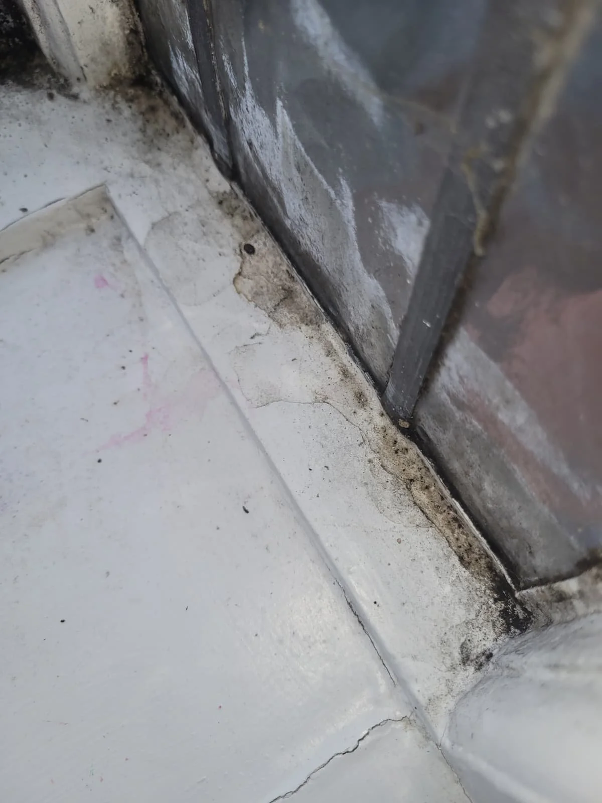 WhatsApp Image 2025-12-21 at 19.17.51 (3).jpeg